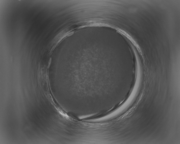 X0000084571289200702231249