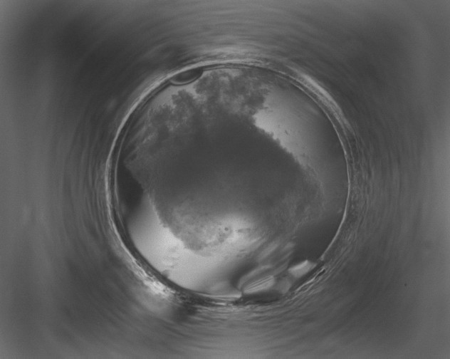 X0000084571291200702231249