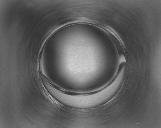 X0000084571292200702231249