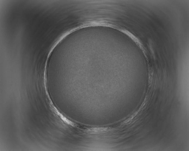 X0000084571294200702231249