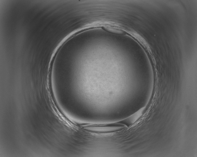 X0000084571296200702231249