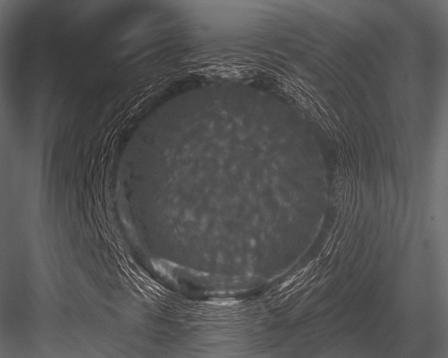 X0000084571297200702231248