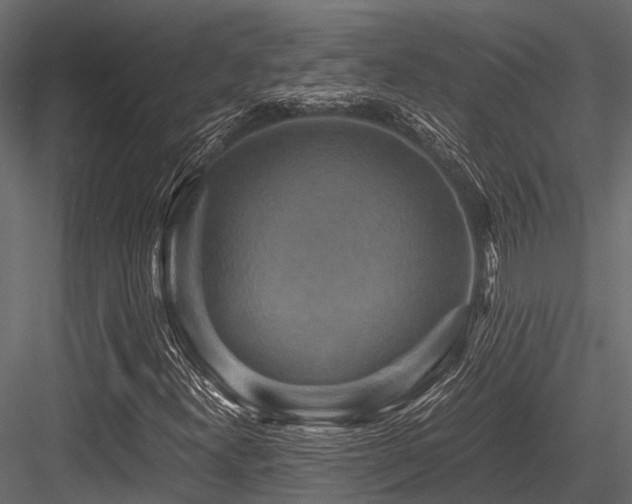 X0000084571300200702231248