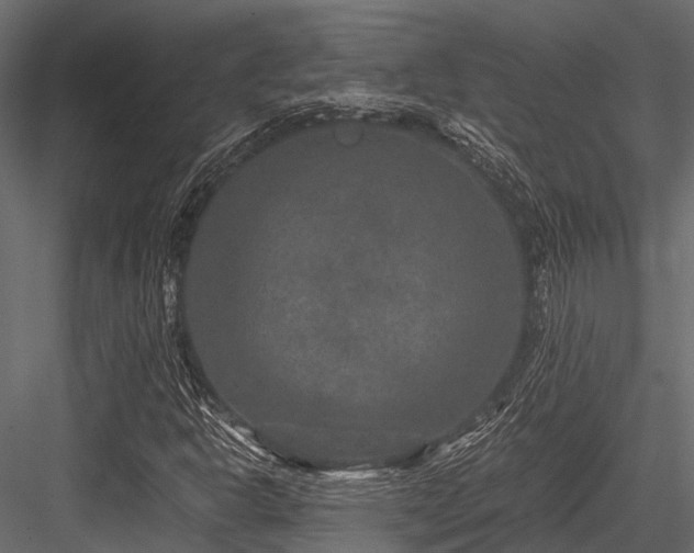 X0000084571302200702231248