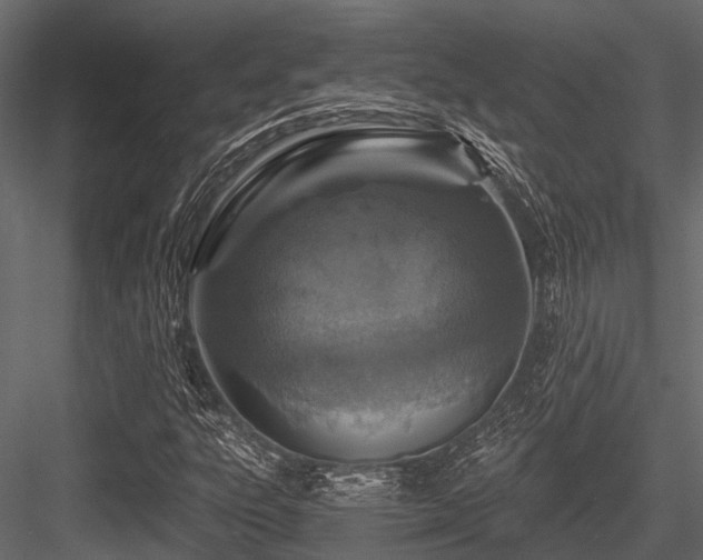 X0000084571303200702231248