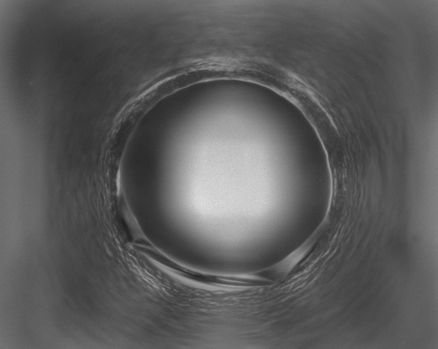 X0000084571304200702231248