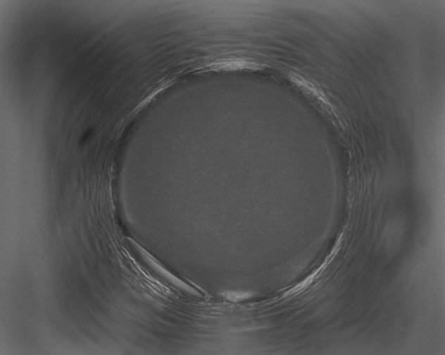 X0000084571305200702231248