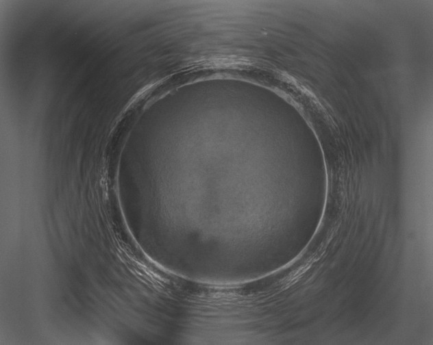 X0000084571306200702231248
