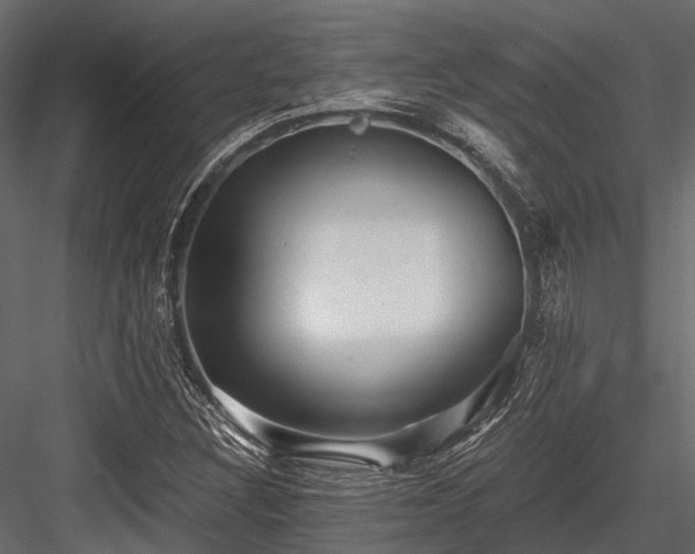 X0000084571308200702231248