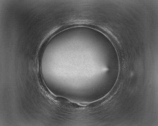 X0000084571317200702231248