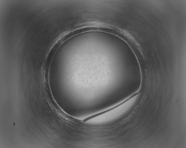X0000084571318200702231248
