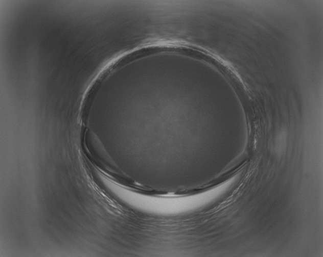 X0000084571319200702231248