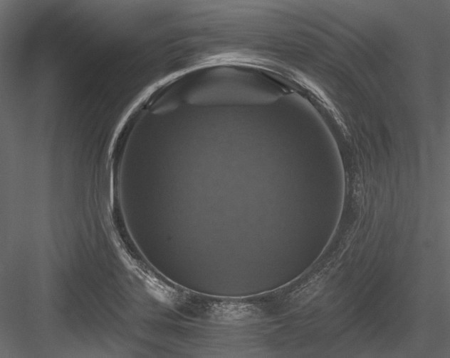 X0000084571323200702231248
