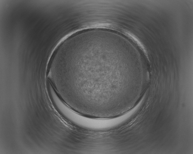 X0000084571324200702231248