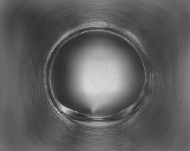 X0000084571326200702231248