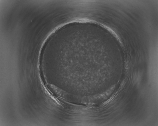 X0000084571327200702231248