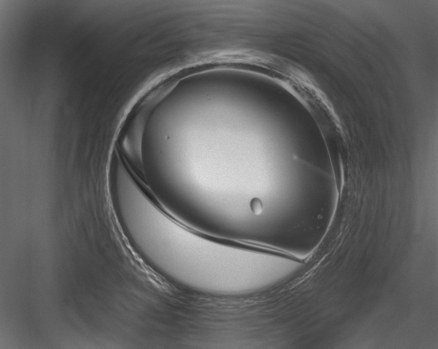 X0000084571328200702231248