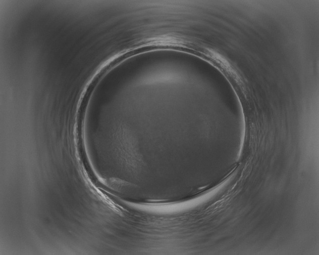 X0000084571331200702231248