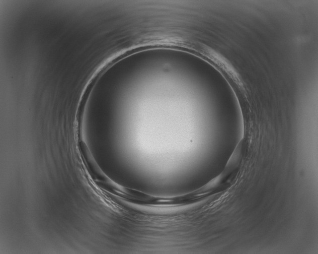 X0000084571332200702231248