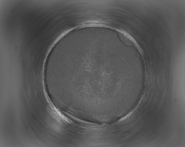 X0000084571333200702231248