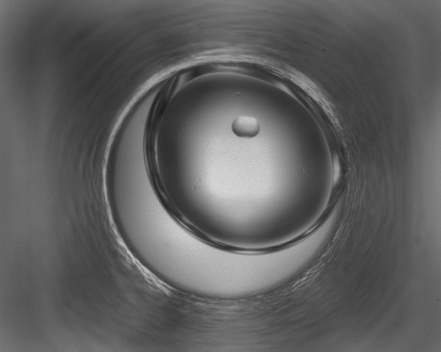 X0000084571334200702231248