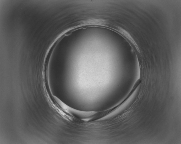 X0000084571339200702231249