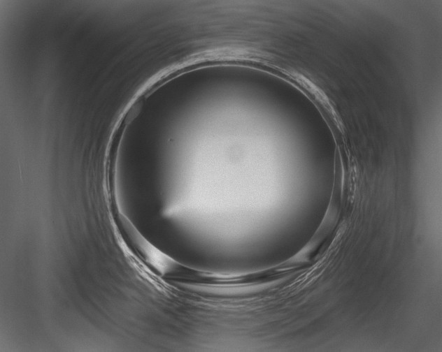 X0000084571342200702231249