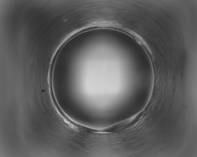 X0000084571343200702231249