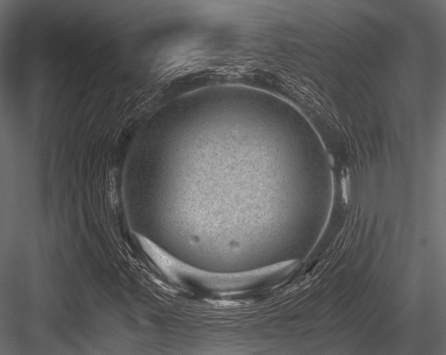 X0000084571347200702231248