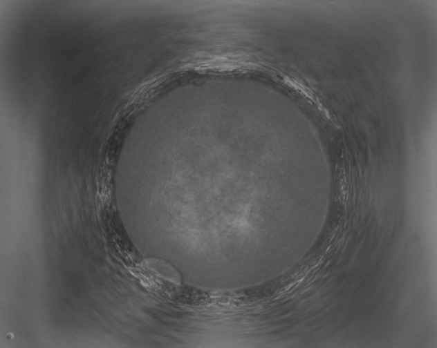 X0000084571350200702231248