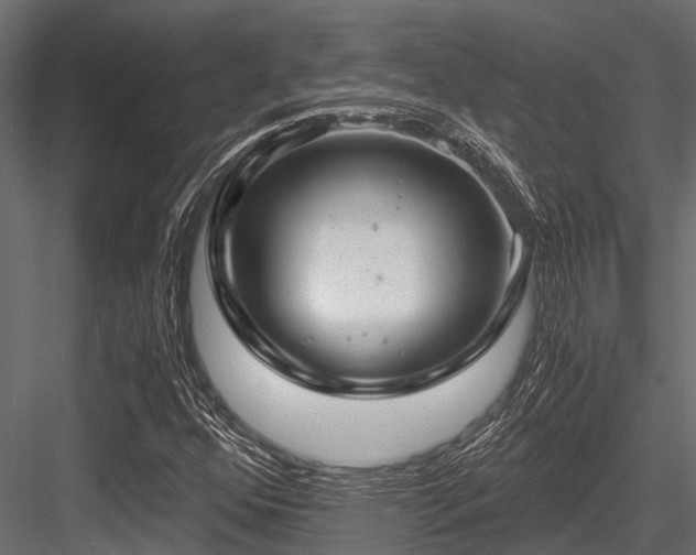X0000084571352200702231248