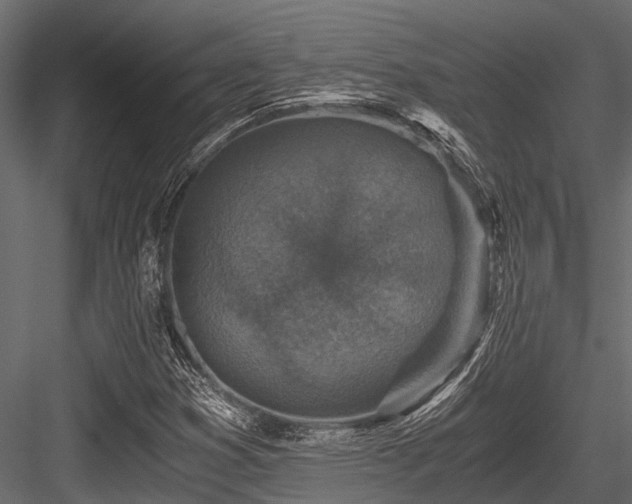 X0000084571353200702231248