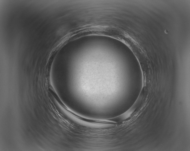 X0000084571354200702231248