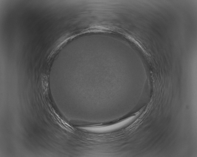 X0000084571355200702231248