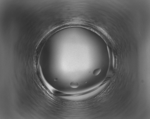 X0000084571356200702231248