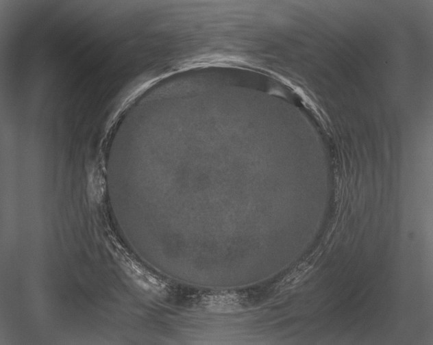 X0000084571363200702231247