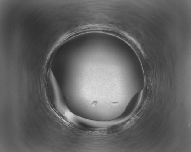 X0000084571365200702231247