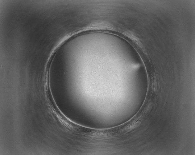 X0000084571366200702231247