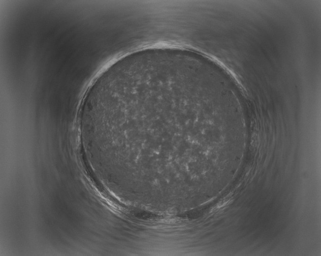 X0000084571367200702231247