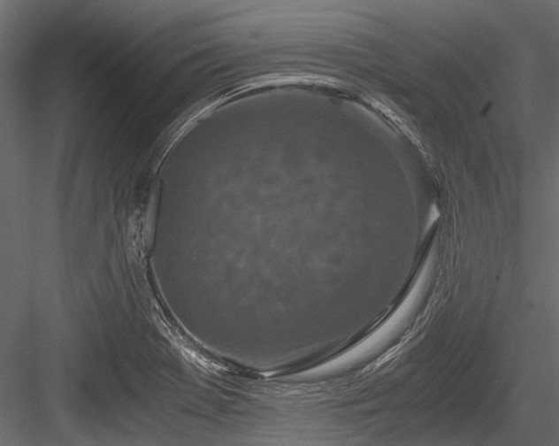 X0000084571369200702231247