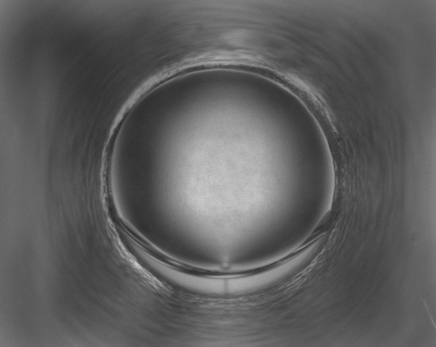 X0000084571374200702231247