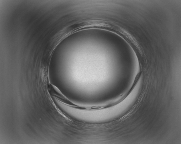 X0000084571377200702231247
