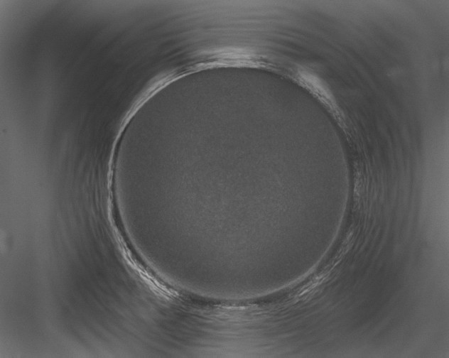 X0000084571378200702231247