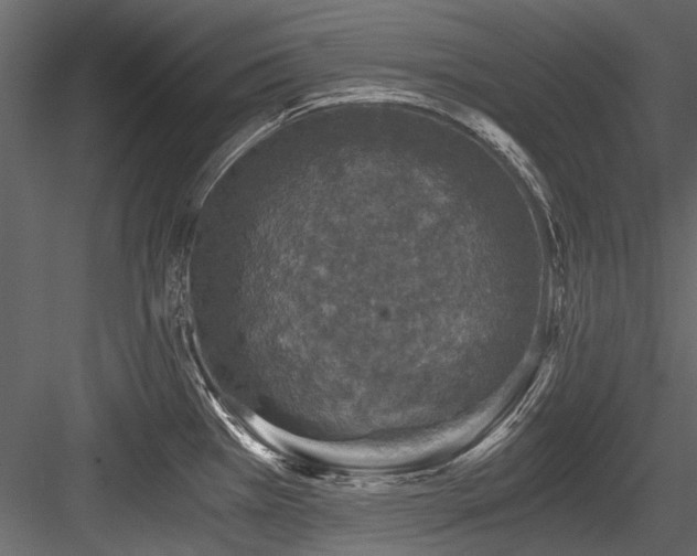 X0000084571385200702231247