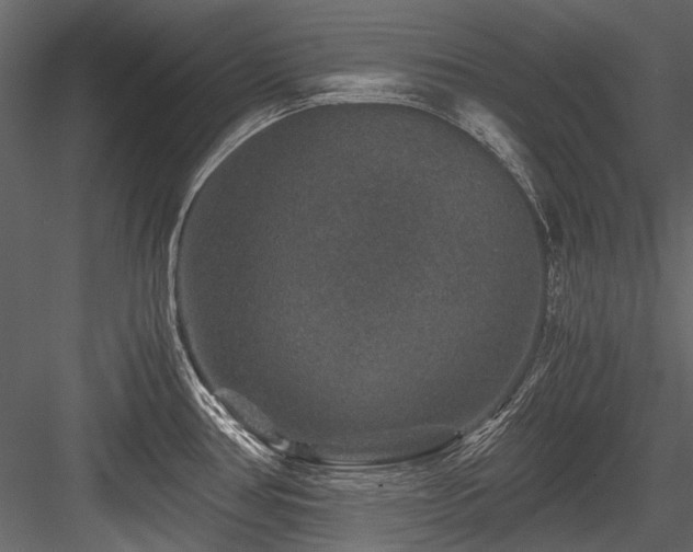 X0000084571386200702231247