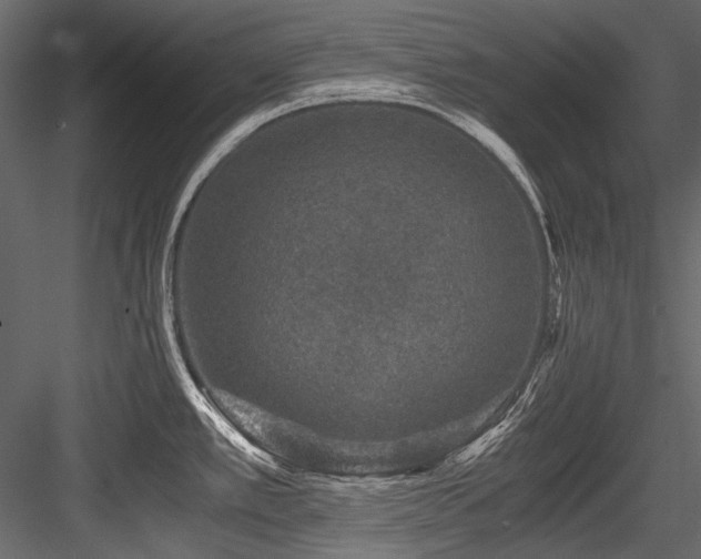 X0000084571389200702231247