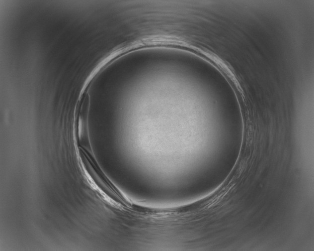 X0000084571390200702231247