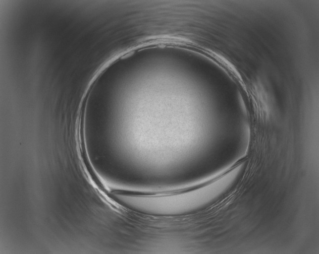 X0000084571391200702231247