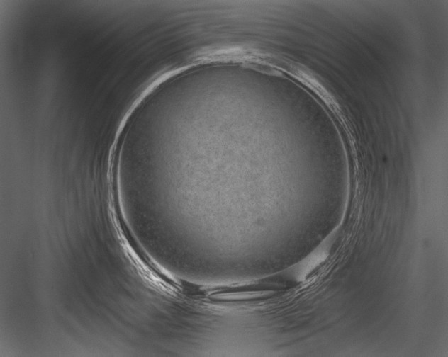 X0000084571392200702231247