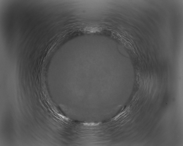X0000084571393200702231246
